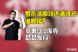 衡阳融资清欠服务